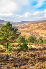Naklejka premium Glen Dye from the Old Military Road south of Bridge of Dye, Aberdeenshire, Scotland UK
