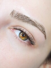 Naklejka premium Close up of eyelash Extensions in beauty salon macro eye