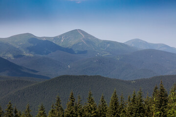 Fototapeta premium Hoverla mountain among grassy mountain hills and meadow covered green lush grass. Carpathian Mountains, Ukraine