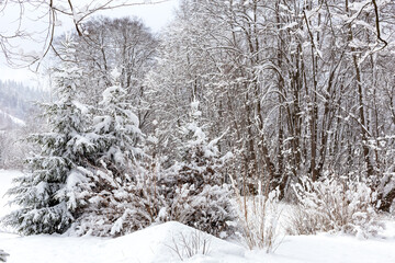 Winter in the mountains. Travel