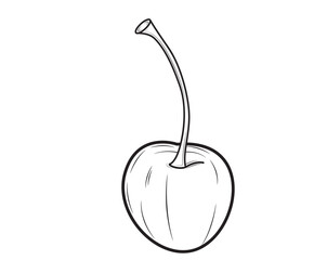 Realistic cherry isolated on white background. Vector illustration.