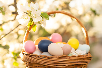 painted Easter eggs in basket on grass. Traditional decoration in sun light