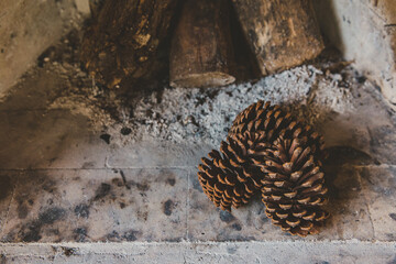 Pinhas na lareira com madeiras queimadas