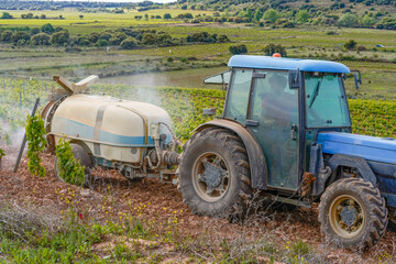 tractor sulphating the vineyards