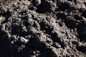 bumpy dark soil with roots texture