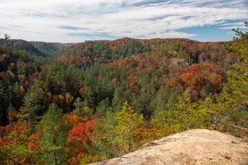 autumn landscape in the mountains