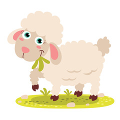 Cartoon Illustration Of A Lamb