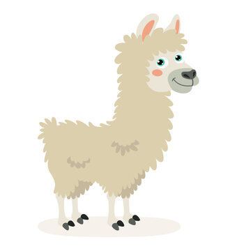 Cartoon Illustration Of A Llama