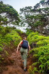 Naklejka na ściany i meble hiker girl climbs steep trail on oahu with honolulu skyline in background on wiliwilinui ridge trail; hiking on green mountains in hawaii, holiday in hawaii