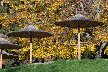 Bastschirme im herbstlichen Park