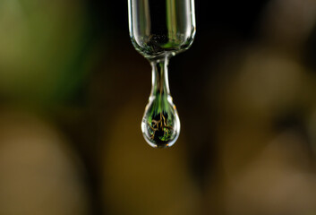 Drop of clear liquid, oil, serum or tincture dripping from pipette. Macro shot of drop of essential...