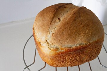 Pão Caseiro Natural