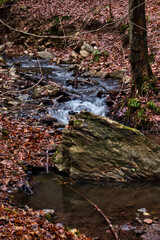 Water flowing in a stream around a rock on a winter day in the Bingen Forest of Germany.