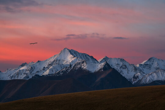 Snowy Mountain Peaks At Dawn. Purple Sunset Over Majestic Mountains. Sunset In Magenta Tones. Atmospheric Purple Landscape With A High-altitude Snowy Mountain Valley.