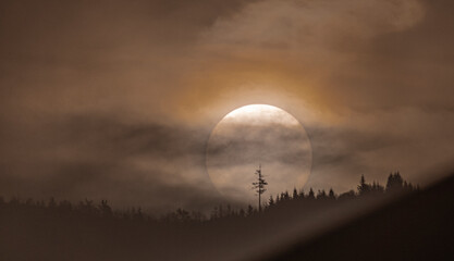 Sonnenaufgang im nebel über dem Berghang.