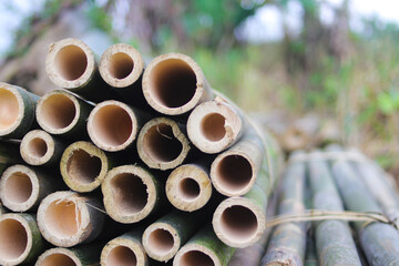 Stack of bamboo stems background