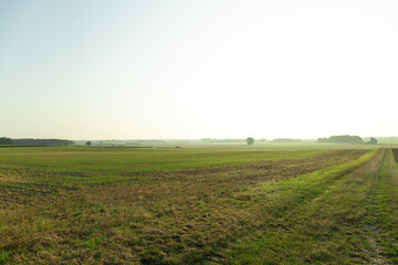 Fototapeta na wymiar Panorama over fields Landscape in winter