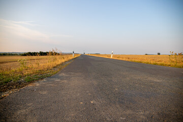 centered country road with fields and trees