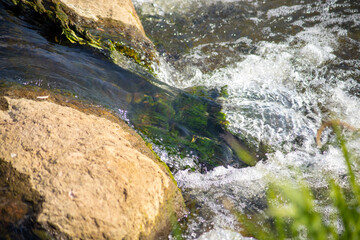 Wild river with rocks and eddies in the water