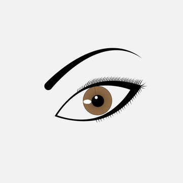 eye clip Art vector in illustrator