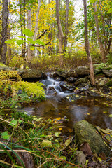 Long exposure image of water in a small stream throgh a forest.