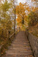 Fototapeta na wymiar path in autumn forest, Switzerland