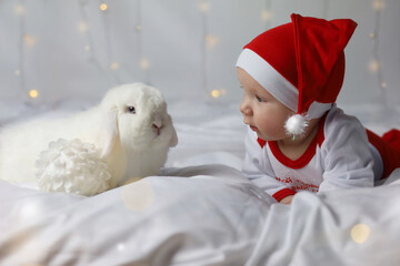 Baby and white rabbit lie in bed. Happy litlle kid in red Christmas hat with rabbit. Child's Christmas gift in bed. Boy in a Santa hat with a rabbit. Funny pet. Christmas lights are on