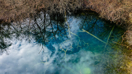reflection in the water