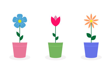 Beautiful flowers in pots. Set of colorful plants in flowerpots. Flat vector illustration. Bright collection of clip arts
