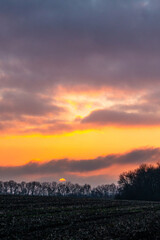 sunset over the forest
