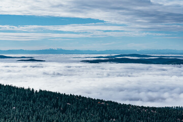 Trees on the ridge of the mountains