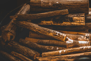 wooden bridge in the forest