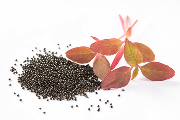 Dried amaranth seeds and amaranth sprouts isolated on white background, close up. Leaf amaranth...