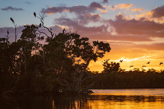 sunset over the river