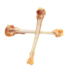 Poverty concept. Crossed picked chicken bones isolated on transparent.