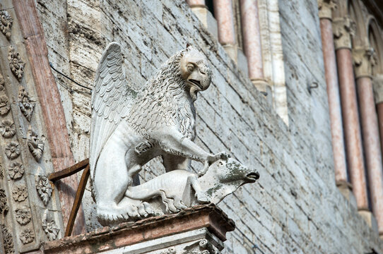 Il grifone simbolo di Perugia