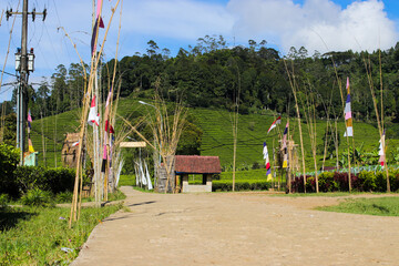 Rural atmosphere in the middle of Indonesian tea plantations