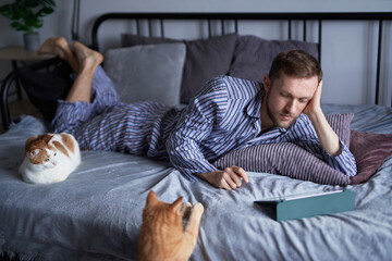 Young bearded caucasian man in pajama in the morning lying on a bed making online shopping or educating from home. Two tabby cats sitting nearby. High quality image