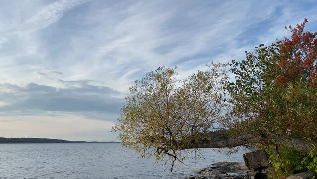 Nature, water and autumn. Swedish fall. Rocky shore. Lake M&auml;laren, next to the Baltic sea. Stockholm, Sweden.