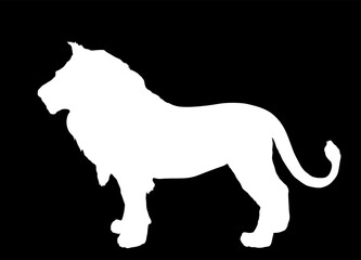 Lion vector silhouette illustration isolated on black background. Animal king. Big cat. Pride of Africa. Leo zodiac symbol. Wildlife predator. Lion shape shadow symbol. African big five member.