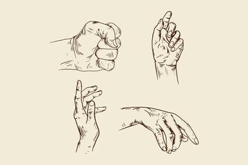 hand drawn illustration in hand drawn style