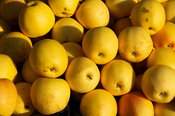Yellow juicy apples in a fruit street stall in the sun. Buying fruits and vegetables at a street market in the Georgian city of Tbilisi. The concept of selling farm fresh goods. Vegan Food Store
