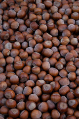 Vertical food photo with fresh shelled hazelnuts. Counter with a nut. The concept of selling and buying farm products, entrepreneurship support. Ingredient for salad, dessert, nut cake. Healthy food
