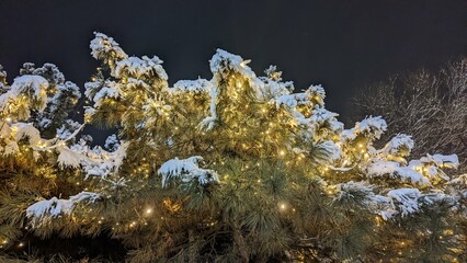 christmas tree under the snow with burning festive lights
