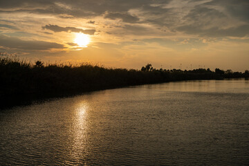 Fototapeta na wymiar River View and Reeds at Sunset