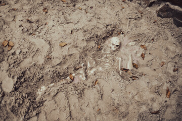 Freigelegter Skelett (Exhumierung)