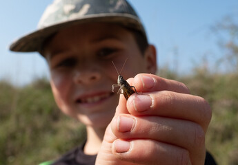 Junge hält einen Grashüpfer in die Kamera