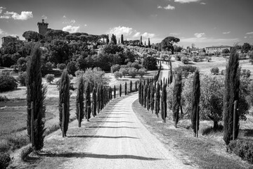 Grayscale view of a path surrounded by trees and grass in Tuscany, Italy