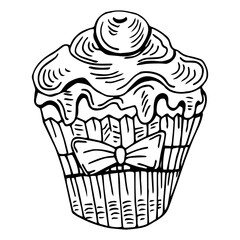Hand drawn illustration of tasty cupcake. Vector illustration. Sketch cupcake