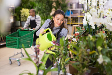 Professional woman florist watering flowers from a plastic watering can in floral shop